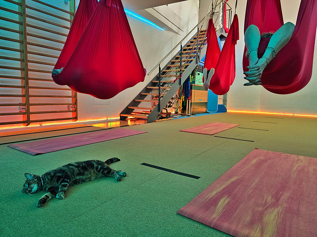 Aerial Yoga Dietlikon Zürich